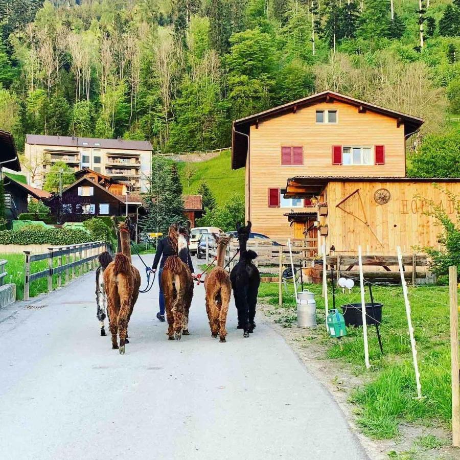 Jurte Beim Lama- & Alpakahof Triesenberg Otel Dış mekan fotoğraf