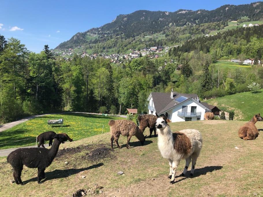 Jurte Beim Lama- & Alpakahof Triesenberg Otel Dış mekan fotoğraf