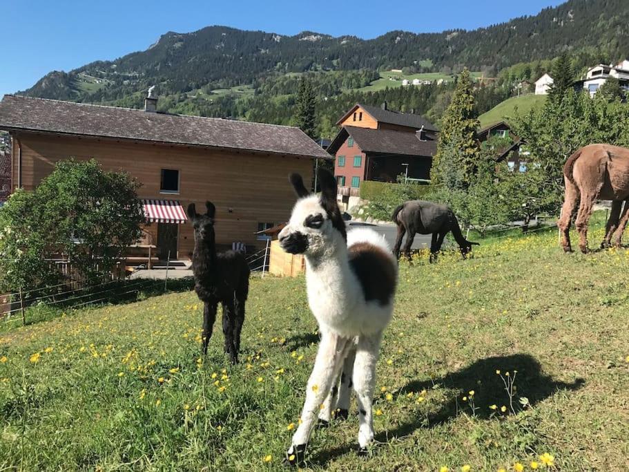 Jurte Beim Lama- & Alpakahof Triesenberg Otel Dış mekan fotoğraf